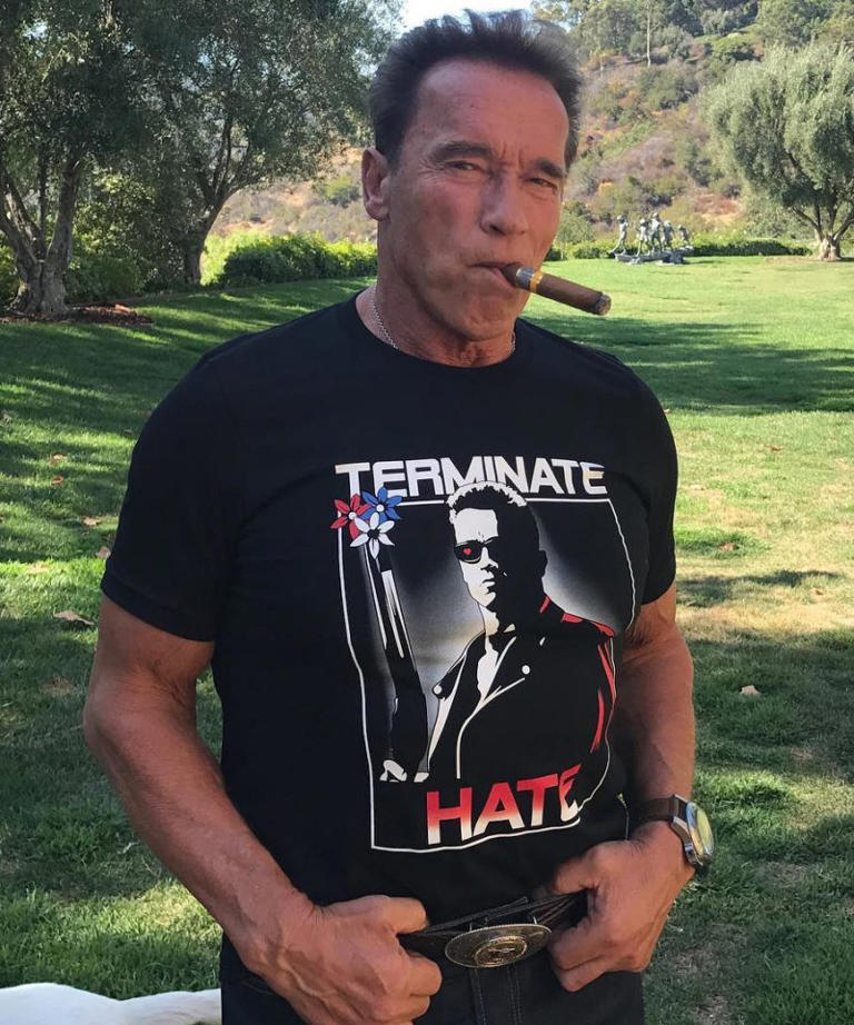 Republicano histórico, Arnold Schwarzenegger declara apoio a Kamala Harris nas eleições dos EUA